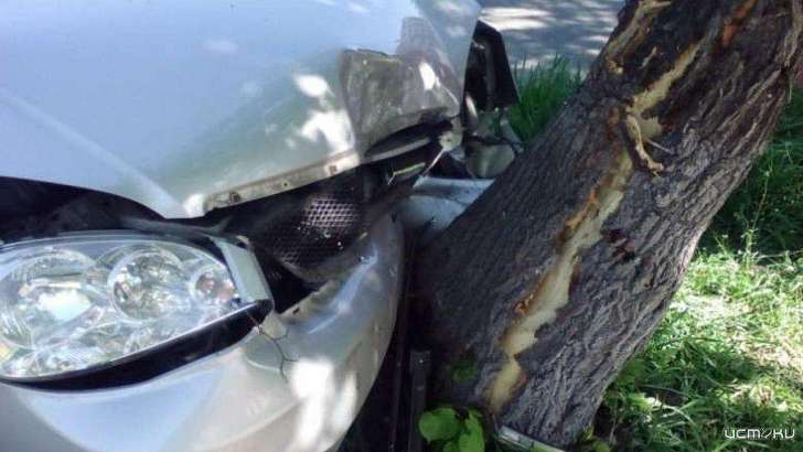 Амчанин отправился в больницу после столкновения с деревом