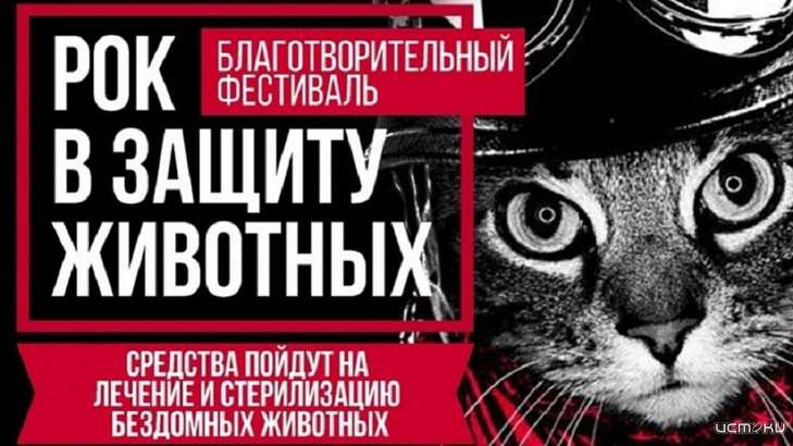 В Орле вновь сыграют «Рок в защиту животных»