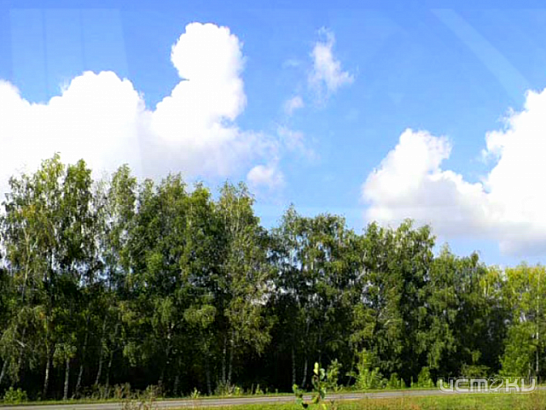 В Орле убили сына известного в определенных кругах человека 