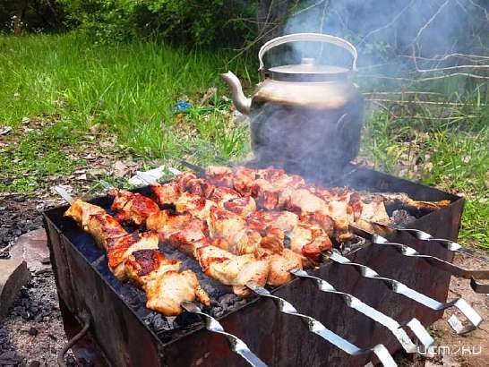 Костры в лесах под запретом: на Орловщине ввели особый противопожарный режим