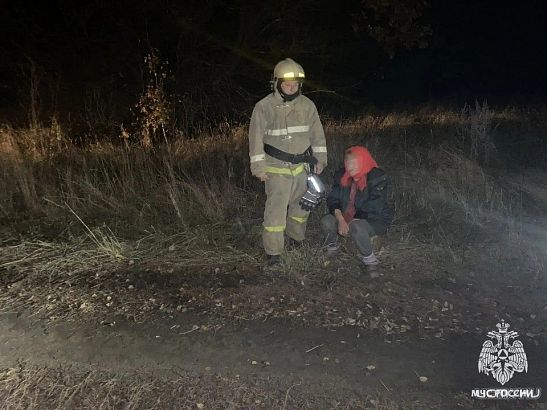 За грибами — и в другую область: пожилая орловчанка вместо даров леса набрала километров