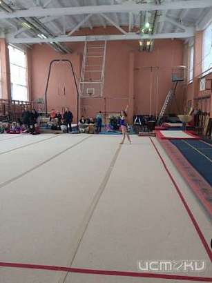В Орле проходит открытое первенство Орловской области по спортивной гимнастике