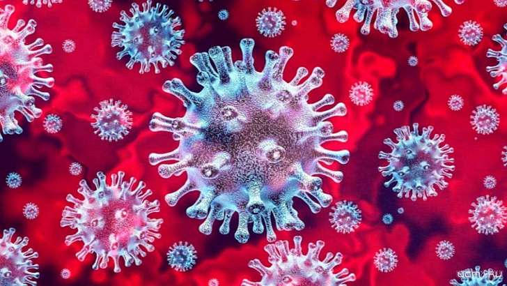 Орловщина приближается к отметке в 6000 зараженных коронавирусом