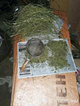 Полицейские изъяли у жителя Ливен 7,5 кг “травы”