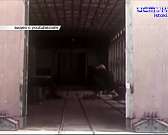 Завтра орловчане напишут «Тотальный диктант», а на «Спецавтобазу» ищут дворников. Новости за 90 секунд