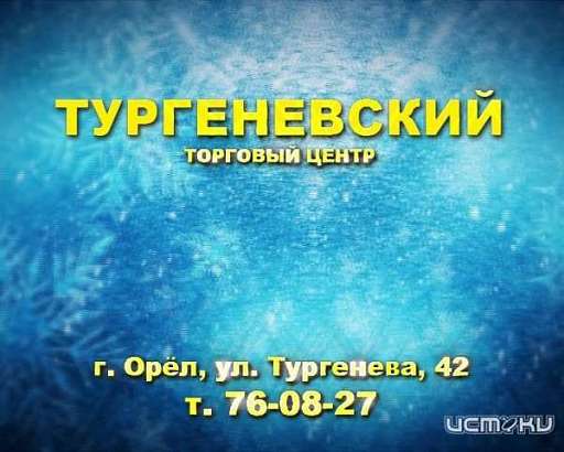 Новогодние покупки в торговом центре "Тургеневский"