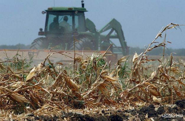 На Орловщине отменили режим чрезвычайной ситуации в агропромышленном комплексе