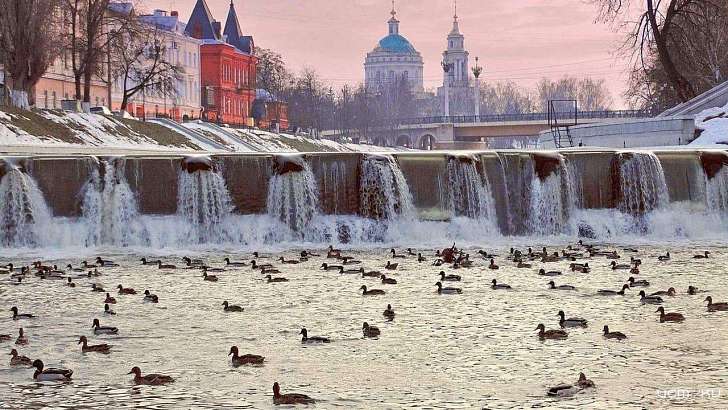 Сегодня в Орле будет пасмурно и прохладно