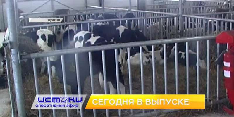 Распиаренный псевдо-ремонт моста на Светлую жизнь, пожарные спасли от огня квартиру и ее пушистого жителя, Росгвардия рассказала о новом законе об ору...