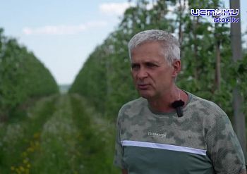 Экспертное мнение 27.05.2026