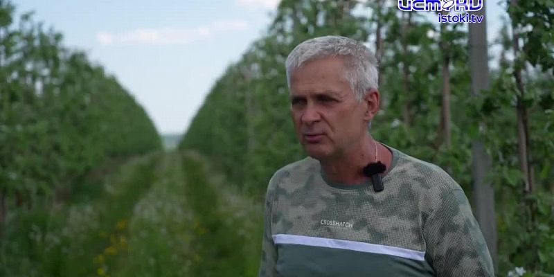Экспертное мнение 27.05.2026