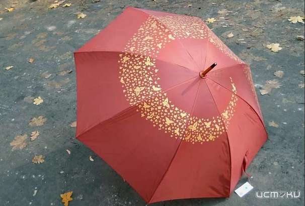 Дождливая осень вынудила орловчанку украсть зонт Дождливая осень вынудила орловчанку украсть зонт