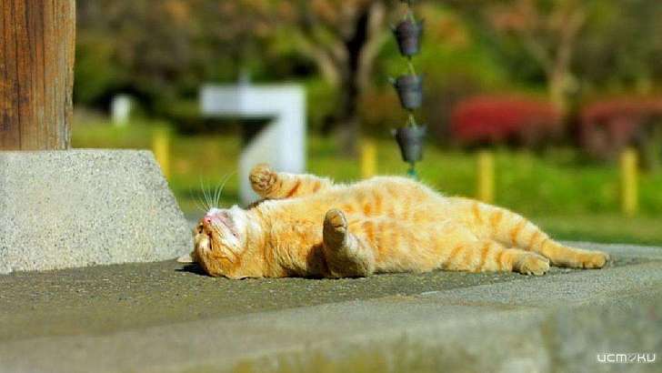 Во власти антициклона: 4 августа в Орле будет знойным и сухим