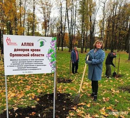 В Орле заложили аллею доноров