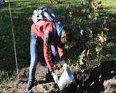 В Орле случилось массовое ДТП, а через неделю в городе выберут тургеневскую девушку. Новости за 90 секунд