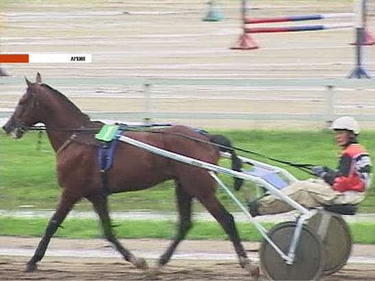 Испытания рысаков на Орловском ипподроме