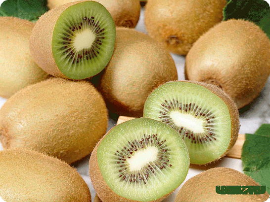 В Орловской области в киви обнаружили карантинного вредителя