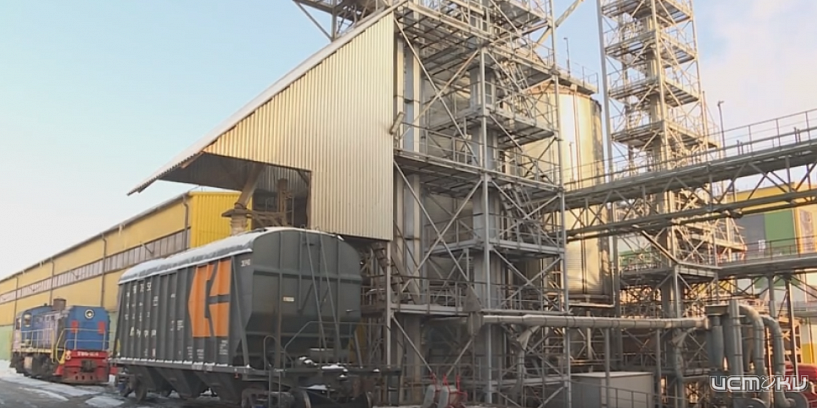 Как семена рапса превращаются в жидкое золото?