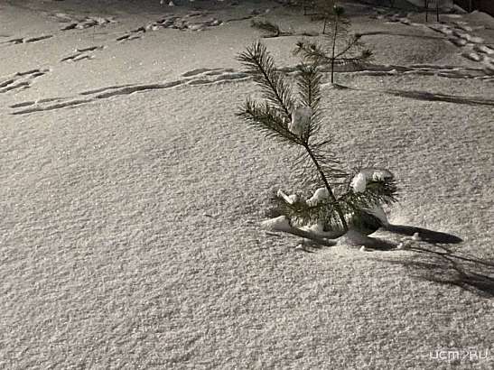 Непостоянная погода вновь подносит сюрпризы