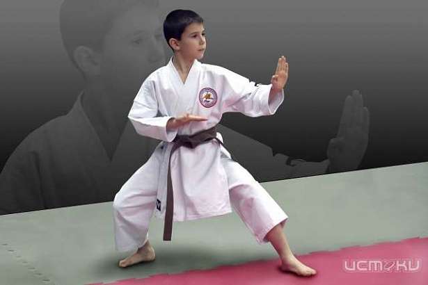 В Орле может пройти Чемпионат Европы по каратэ IKU