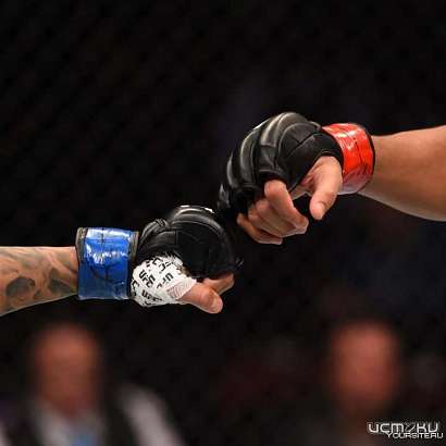 Спортивный центр "ГРИНН" примет открытый Кубок Орловской области по ММА