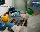 Орловчан предупреждают об опасном солнце, а на родину Фета приехали уральские культуроведы