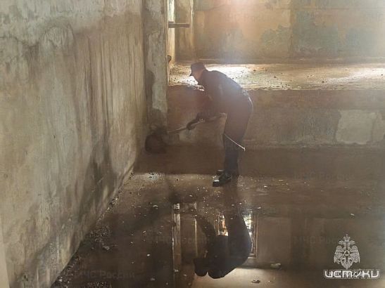 В Орле дворняжка провалилась в цокольный этаж ремонтируемого здания