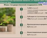 Им про Фому, а они про Ерему