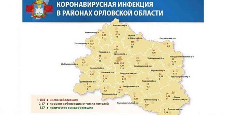 Борьбу с коронавирусом в Орловской области разложили по карточкам