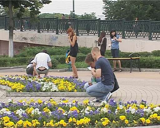 Городские джунгли