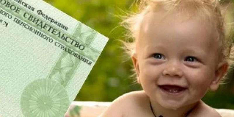 Орловчане могут получить СНИЛС онлайн с помощью госуслуг