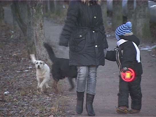 Бродячая проблема