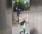 Обрела новый дом: история собаки, избитой орловчанином, закончилась хеппи-эндом