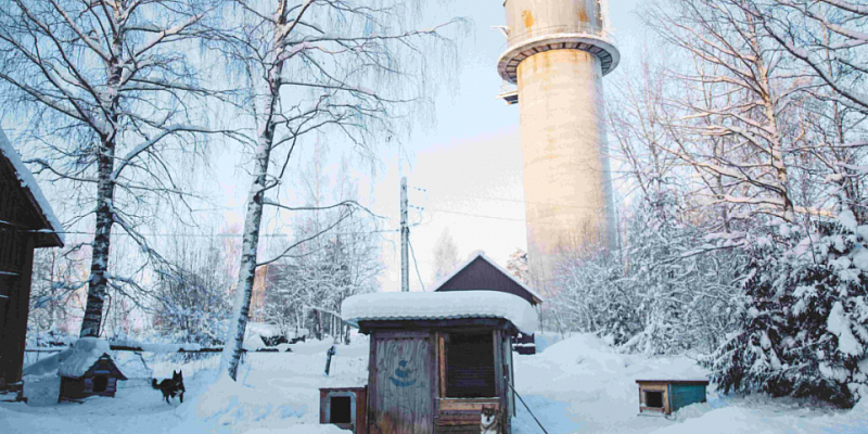 На днях в Орле откроется выставка «Каникулы в Суоярви» (6+)