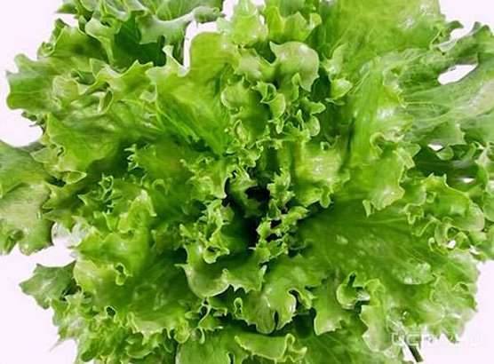 Россия не будет импортировать салат - Латук и салат "Айсберг" из Турции