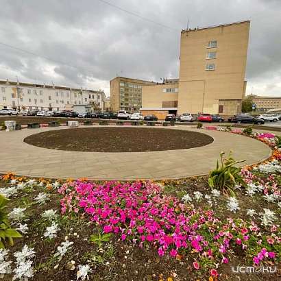 В Орле коммунальщики перед морозами высадили в клумбы 3 тыс. цветов