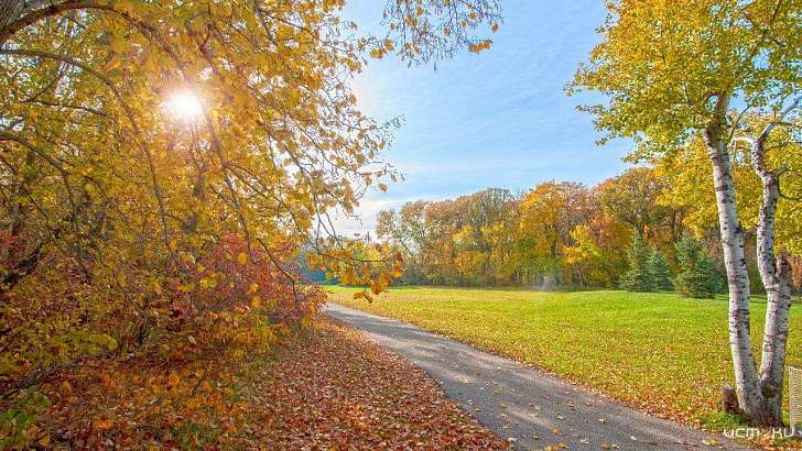 Еще два дня орловчан будет радовать теплая и солнечная погода