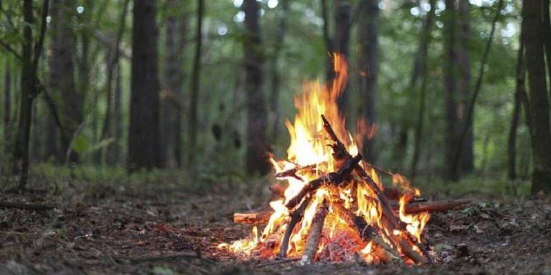 В лесах Орловской области вновь нельзя разводить костры 