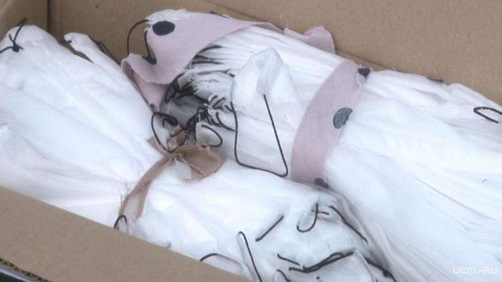 «Бокс помогает»: орловчане могут получить маски и антисептик бесплатно