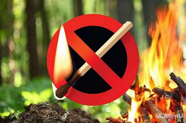 В Орле ввели особый противопожарный режим