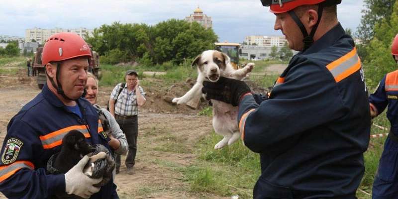 Орловчане поблагодарили сотрудников МЧС за вызволение щенка, который застрял в строительном мусоре