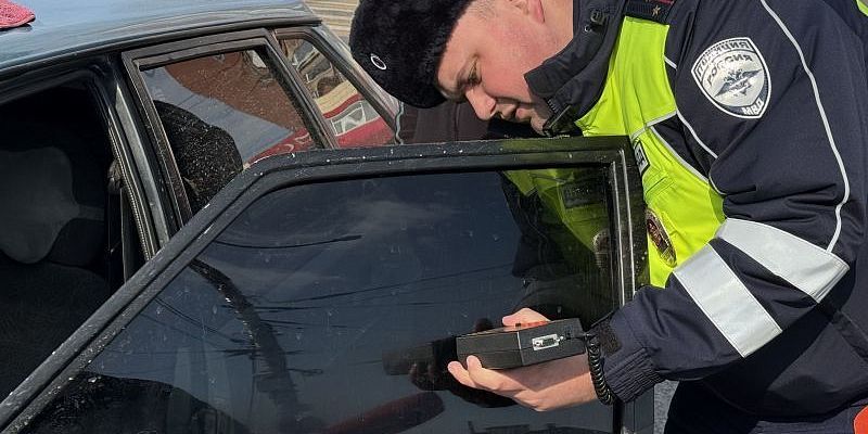 В Орловской области в ходе рейда «Тонировка» выявили 125 нарушителей