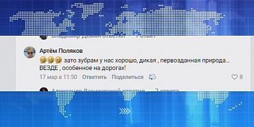 Зато зубрам у нас хорошо. Экспресс - новости.
