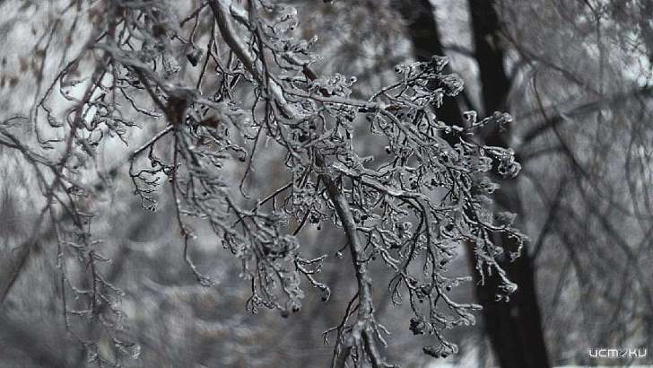 Снег с дождем и ветер: сегодня орловчанам пригодится зонт