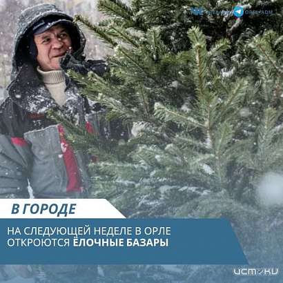 Новый год все ближе. Завтра в Орле открываются елочные базары