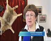 Выставка в музее ИЗО о рыбе, и охоте, и Тургеневе