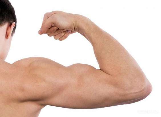 Могучие орловчане сразятся на турнире по русскому жиму