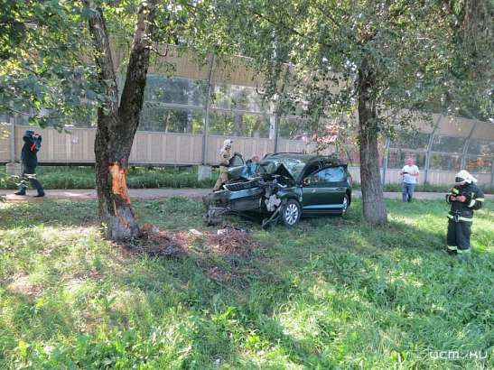 Под Орлом внедорожник «Skoda» с тремя пассажирами угодил в дерево Под Орлом внедорожник «Skoda» с тремя пассажирами угодил в дерево