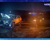 Экспресс - новости: в Кромах появится сливовый сад «Лесков Посад»