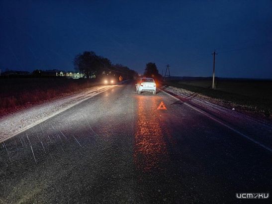 На орловской дороге под колесами авто погибла девушка На орловской дороге под колесами авто погибла девушка